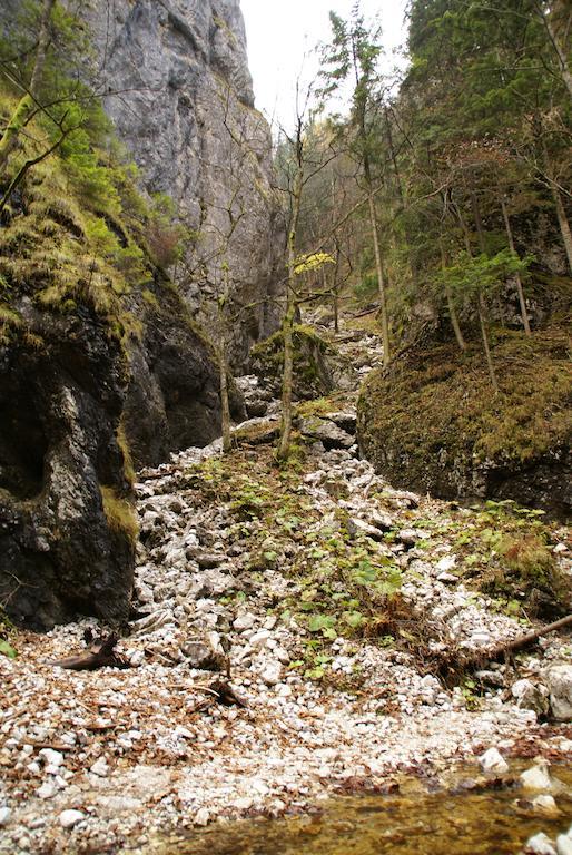 Hotel Petra Káposztafalva Kültér fotó